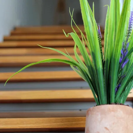 Case de vacanță Loutra